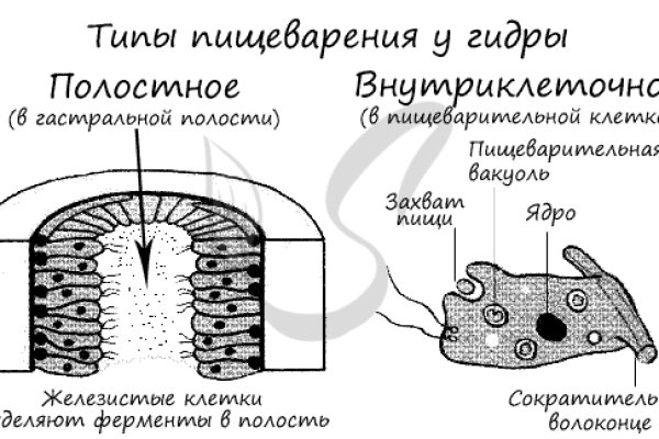 Кракен дарк шоп