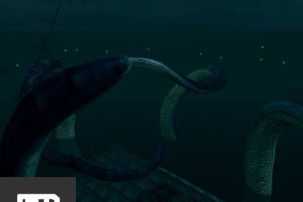 Kraken 2krn es