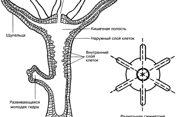 Мега или кракен