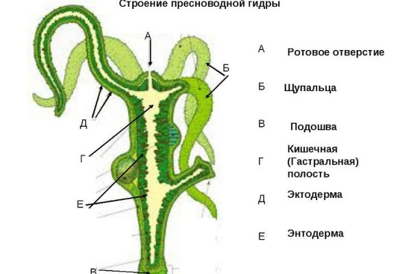 Kraken ссылка сайт kraken clear com